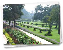 Tal Katora Gardens
