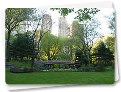 Central Park