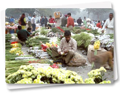 Baba Kharak Singh Marg